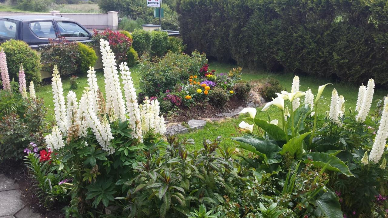 Riverwalk House B&B Oughterard Buitenkant foto