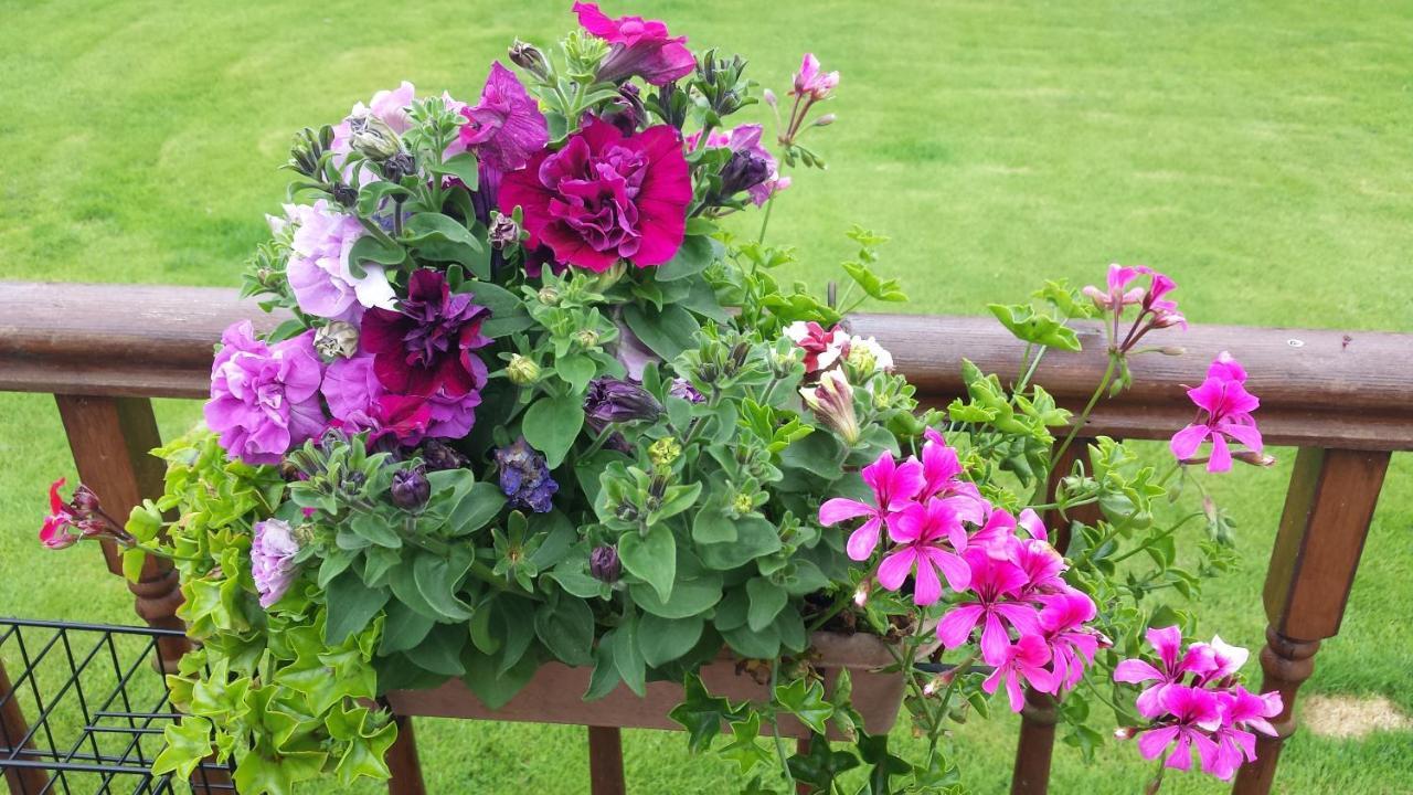 Riverwalk House B&B Oughterard Buitenkant foto